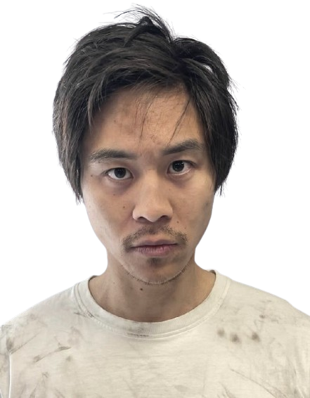 Mike Bujoli